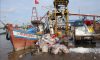 Gỡ khó dự án nâng cấp mở rộng cảng cá Gành Hào