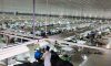 Nghệ An: Chấp thuận chủ trương xây Nhà máy may hơn 50 tỷ đồng